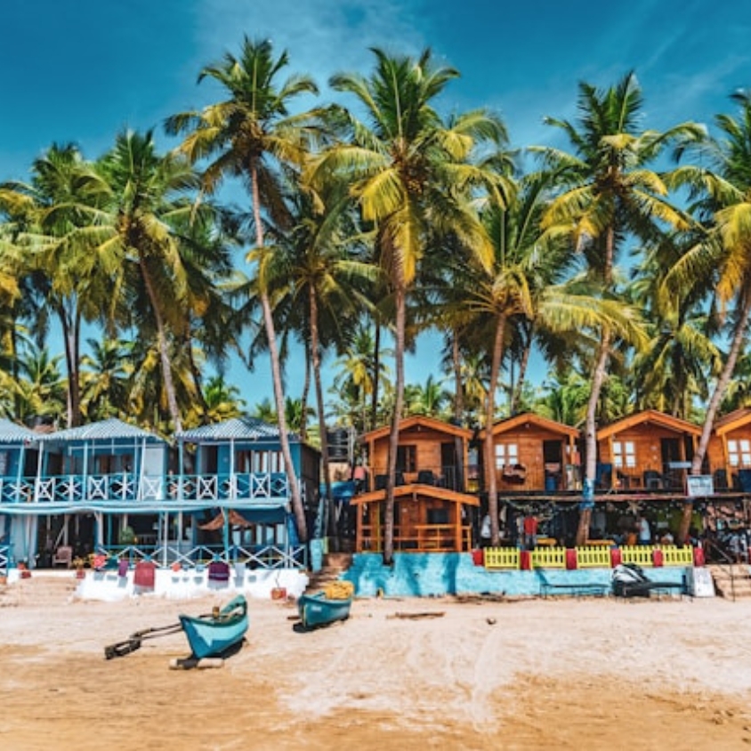 Goa Beach Life